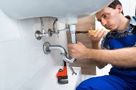 Best Garbage Disposal Repair and Installation  in Fowler, MI